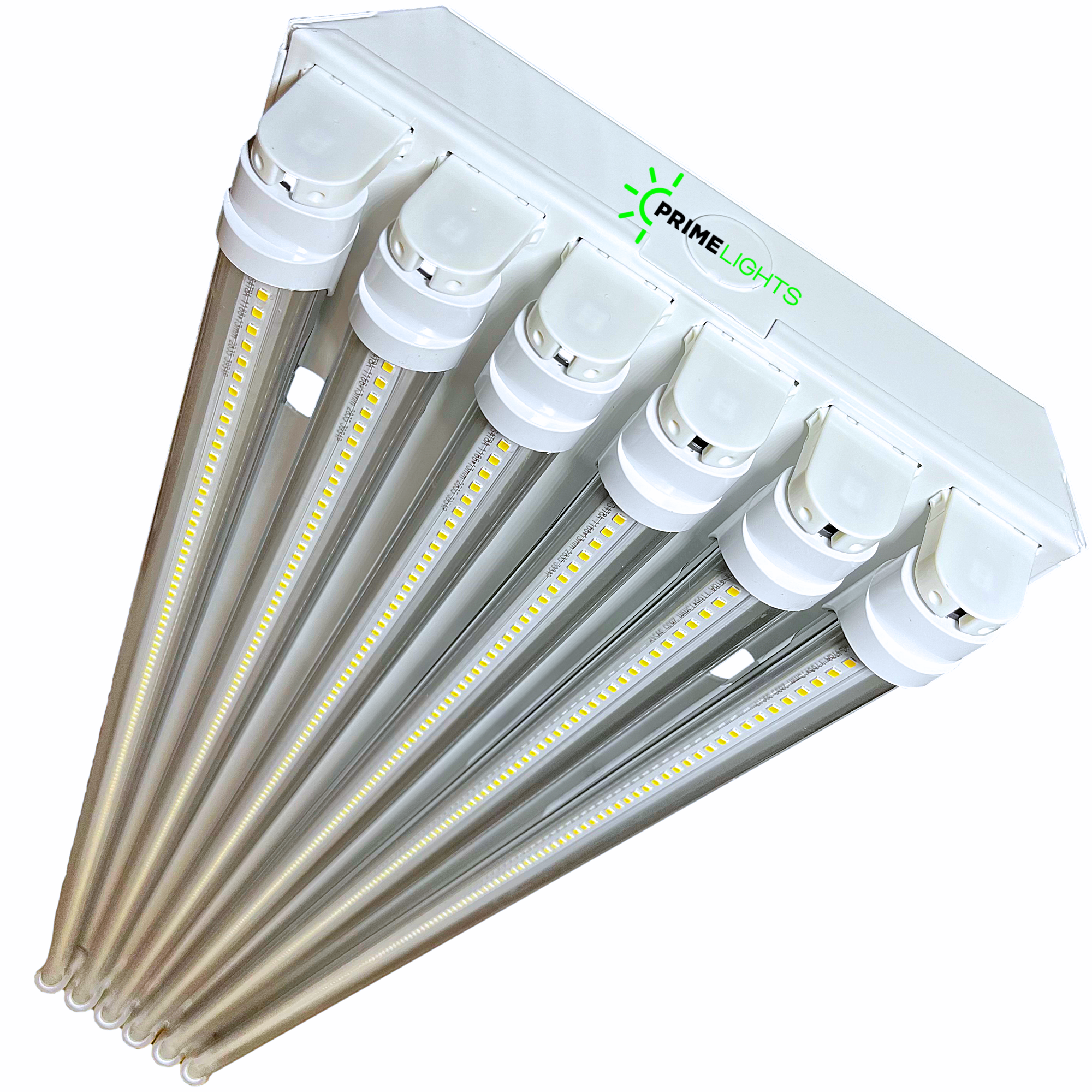 LED 6 Lamp T8 STINGRAY 6XL GEN 2.0: Brighter, Most Efficient, Sleeker - Clear LEDs