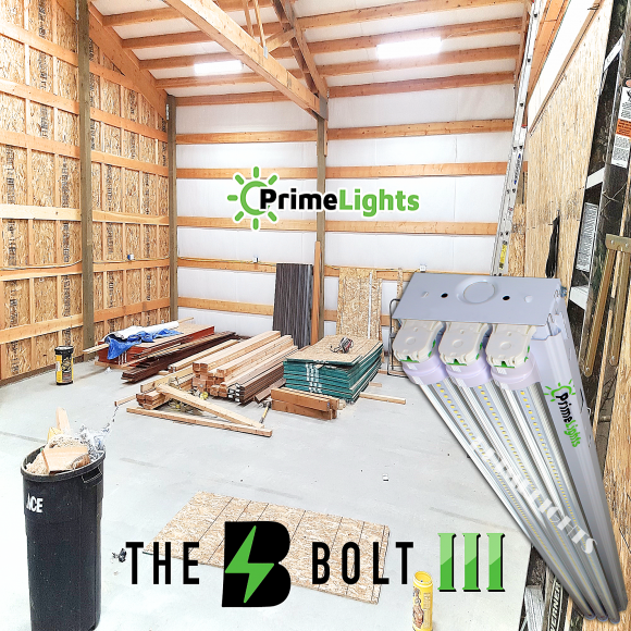The BOLT – 3 Lamp LED Shop Light – 9,300 Lumens Clear