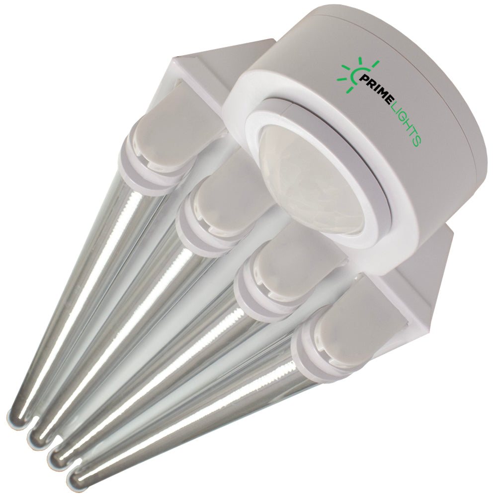 Motion Sensors Occupancy Controls Commercial