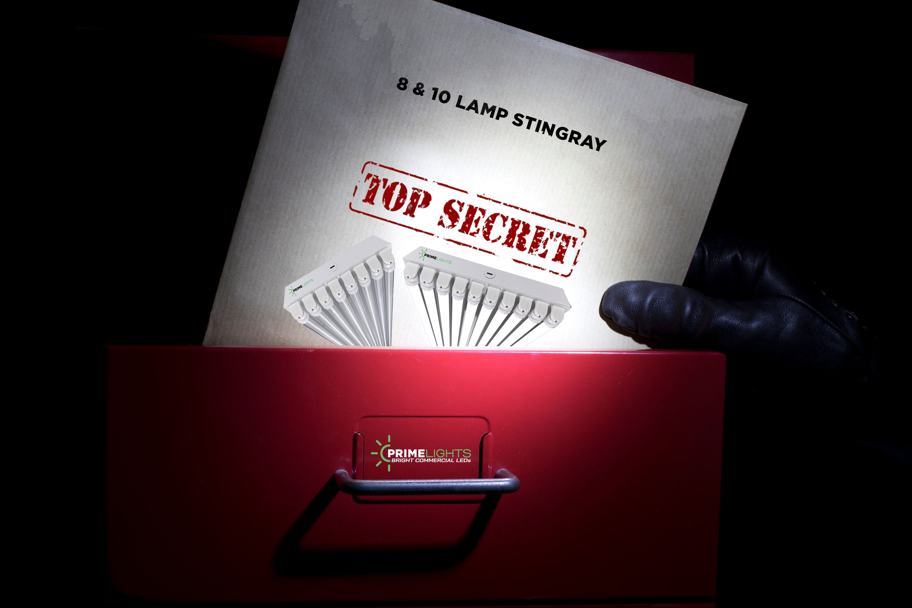 GEN 2.0: Stingray & Bolt