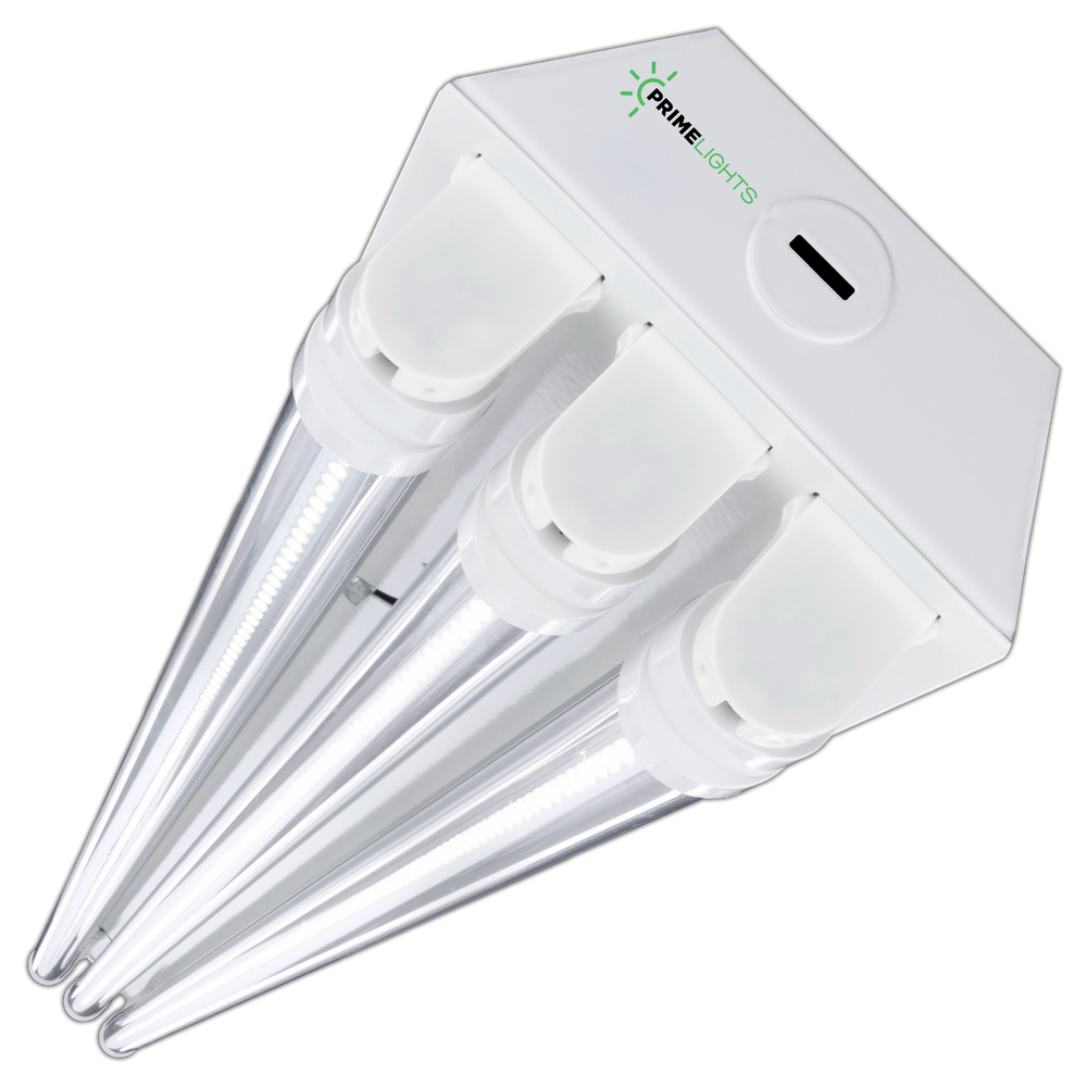 4ft. LED 3 Lamp BOLT® GEN 2 - 60W - 10,800 Lumens - Clear/Frosted