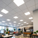 Office & Professional Spaces