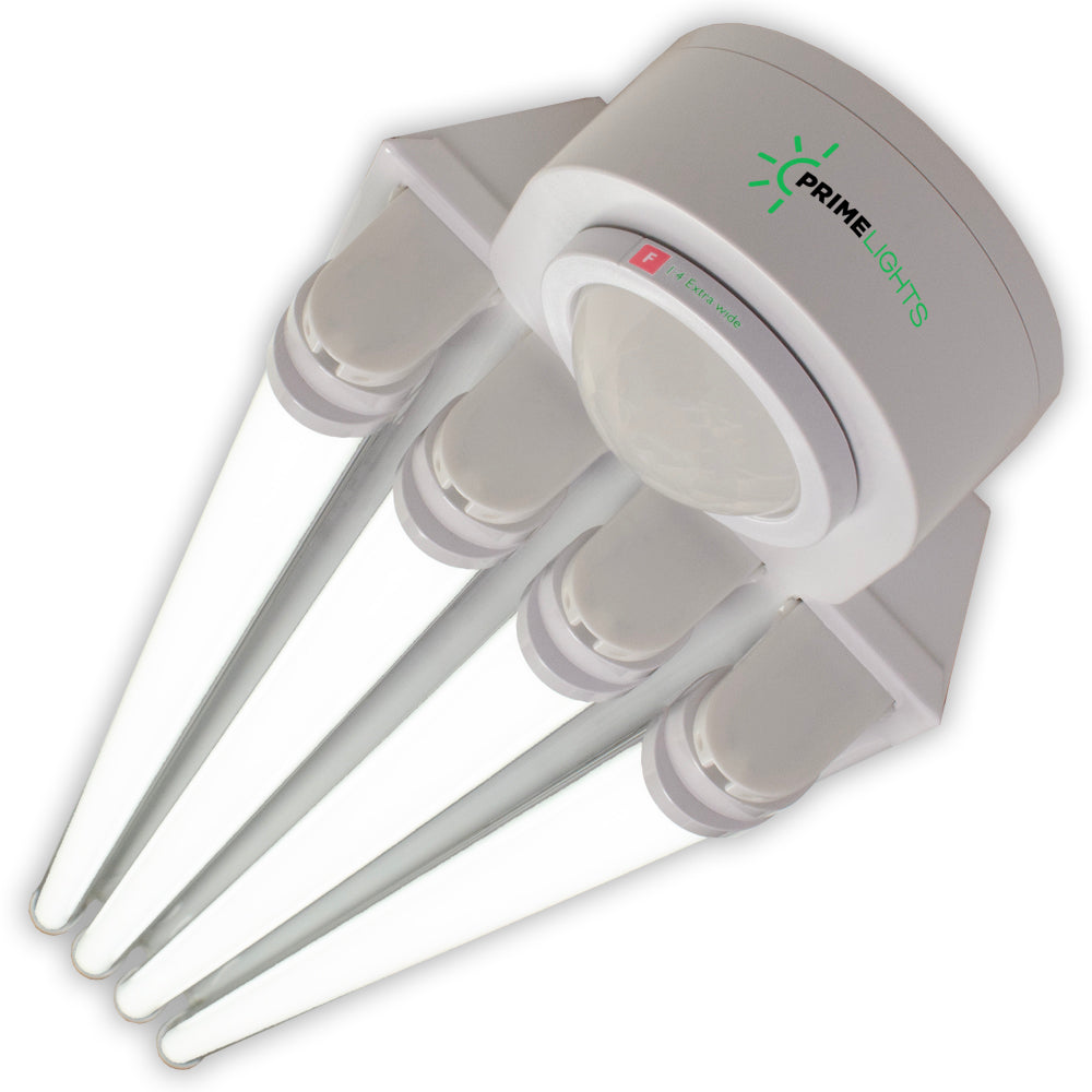Light Motion Activator LED 4 Lamp T8 STINGRAY 4XL GEN 2.0 - Clear/Frosted - Motion Activated ...