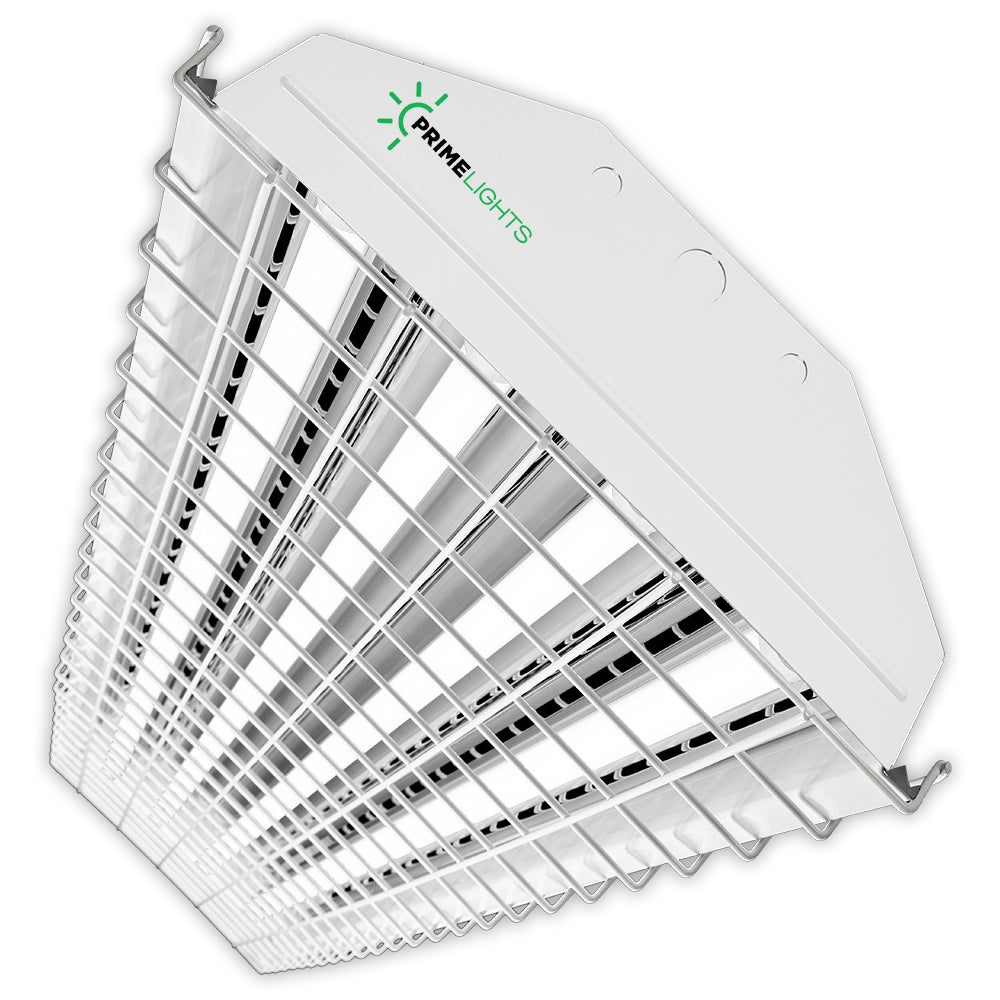 Shop Light With 90 Minute Emergency & Wire Guard Cage Battery Backup ...