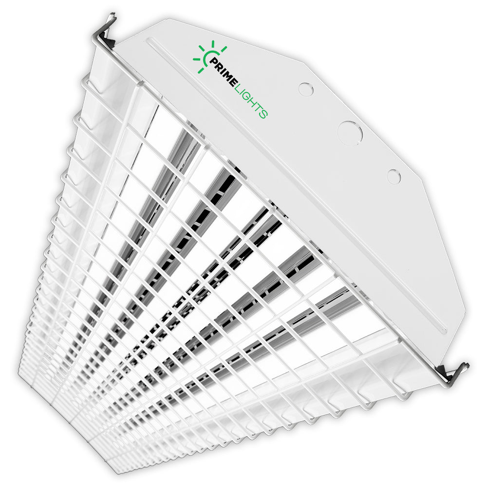 4ft. LED 6 Lamp T8 STINGRAY® 6XL Highbay Fixture 108W Frosted/Clear W ...