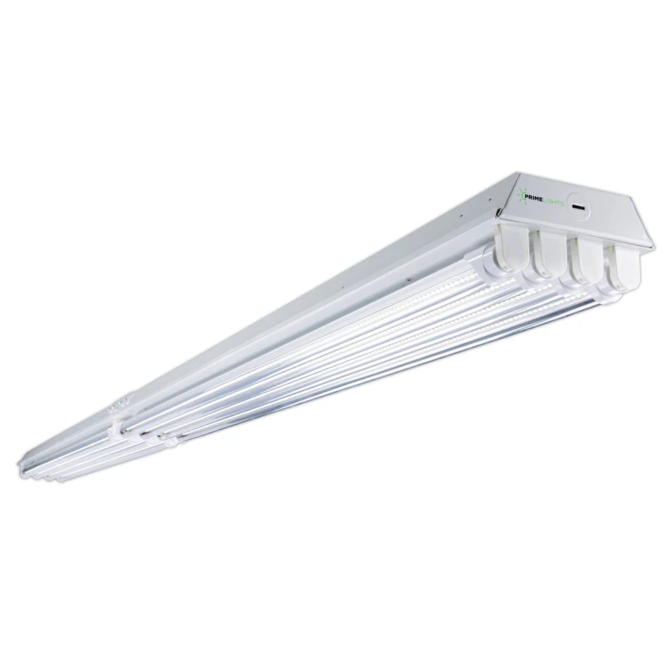 8 Foot LED Lighting