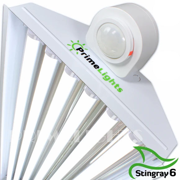 LED StingRay 6 XL MOTION ACTIVATED Shop Light (FROSTED LED)