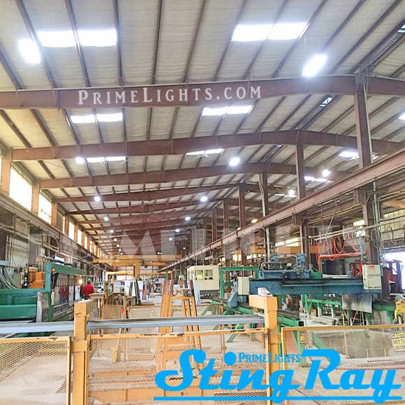 4ft. LED STINGRAY® 6 XL Highbay MOTION ACTIVATED Shop Light With Wire Guard 108W Clear 19,440 Lumens