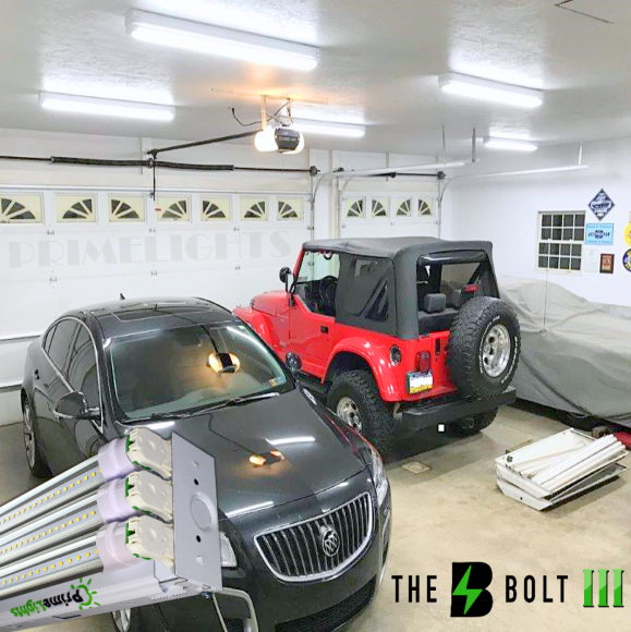 4ft. LED 3 Lamp T8 BOLT® Shop Light 60W Frosted 10,800 Lumens