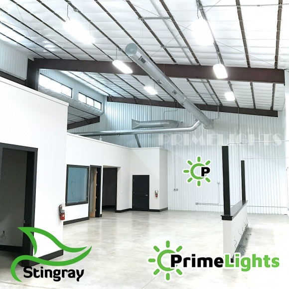 LED Stingray 6 Shop Light - 120W High Bay Fixture 21,600 Lumens 5000K Frosted