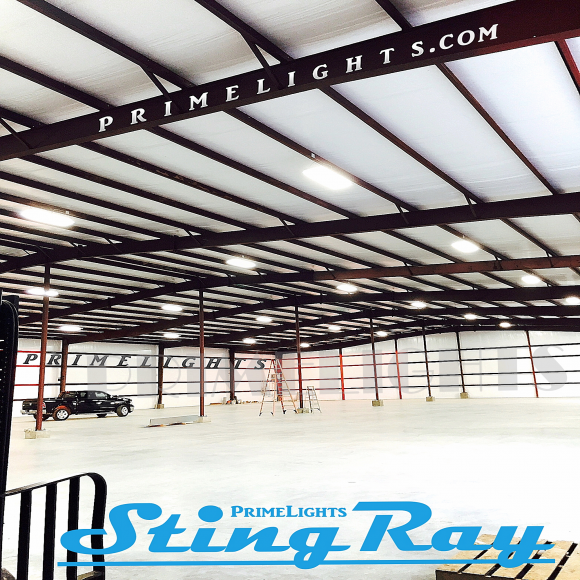 4ft. LED STINGRAY® 6 XL Highbay MOTION ACTIVATED Shop Light With Wire Guard 108W Clear 19,440 Lumens