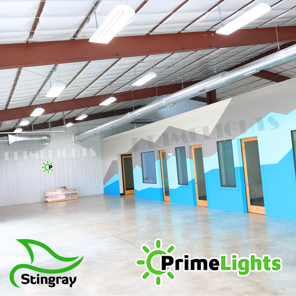 4ft. LED 4 Lamp T8 STINGRAY® 4XL Highbay MOTION ACTIVATED Shop Light 72W Frosted/Clear 12,960 Lumens